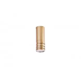 Locus Top gold